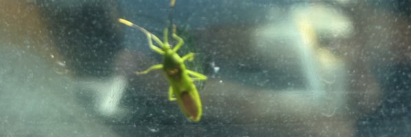 bakuraura Profile Banner