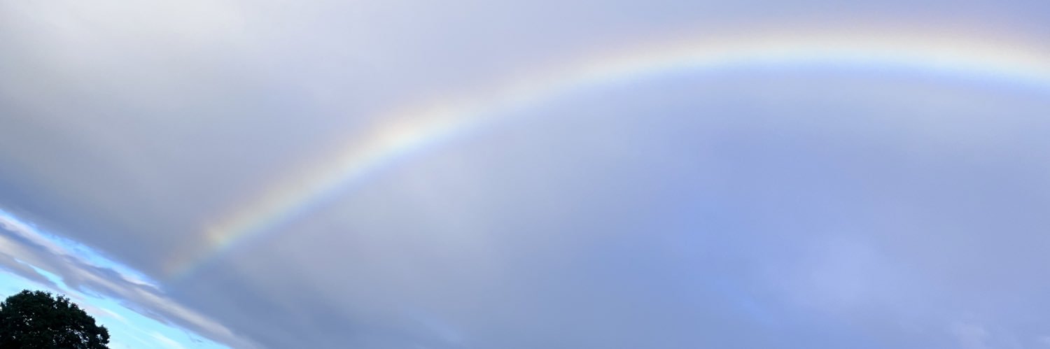 井丸貴拡(IBCアナウンサー) banner