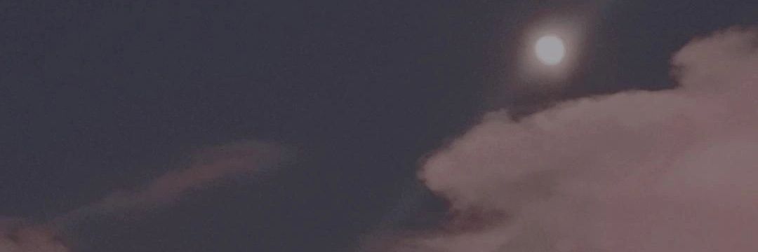 daniel_gon55429's profile banner image