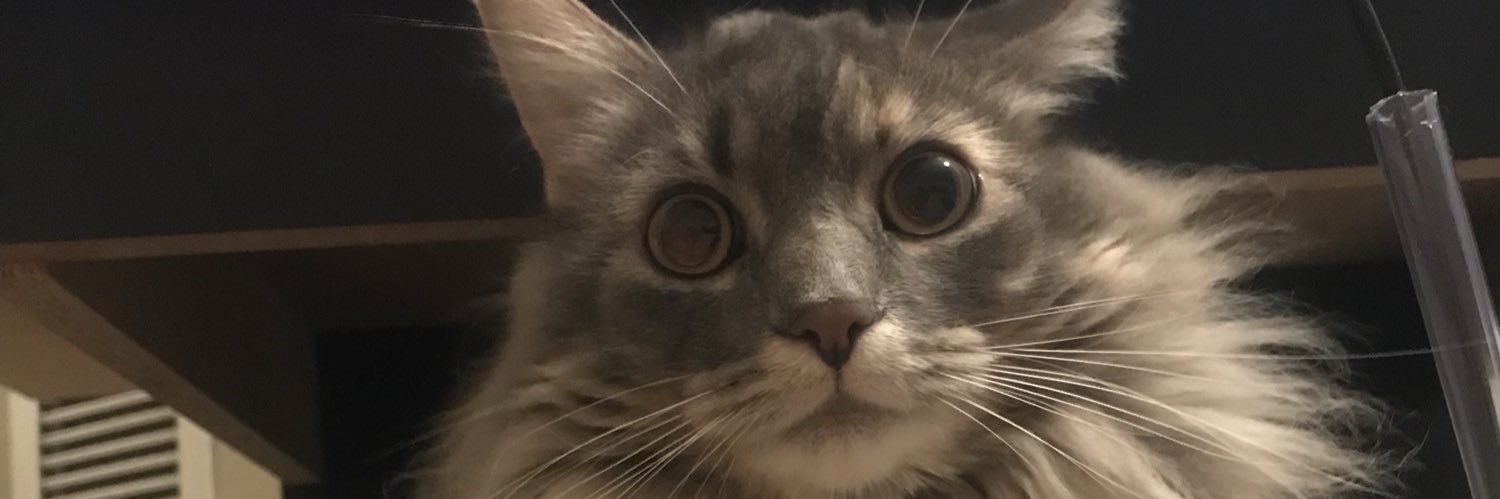 zbradley94's profile banner image