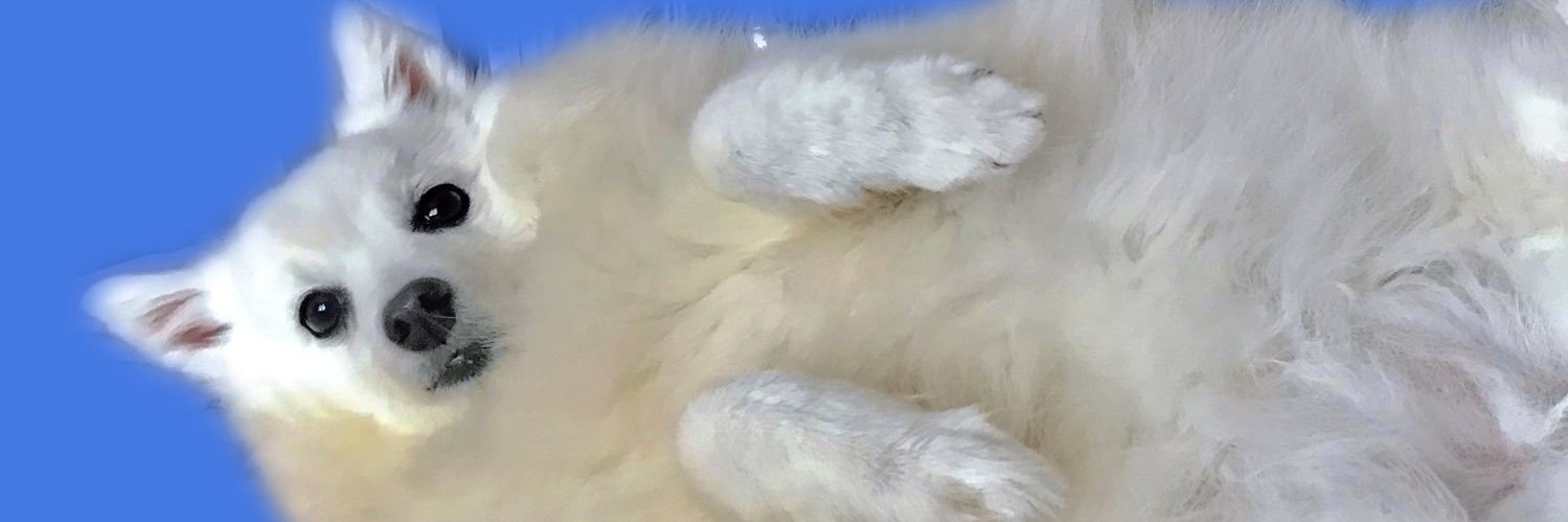 leksey ☀️ banner