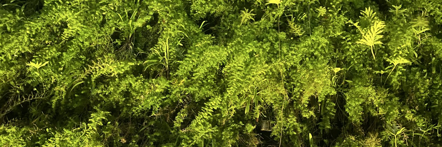 GUSTAVOSTRINGA's profile banner image