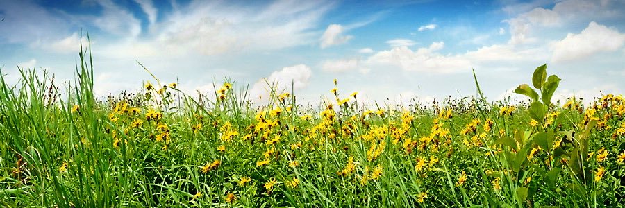 🇮🇷در وطن خويش غريب banner