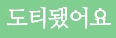 롬미(상태:아방조신여리폭닥하찌공) banner