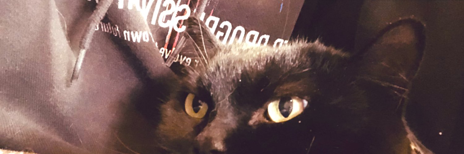 mer_merci's profile banner image
