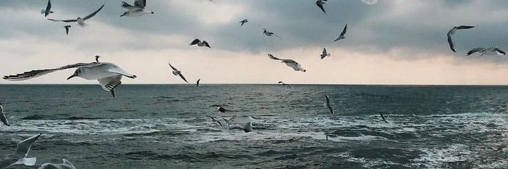 nonarainyy's profile banner image