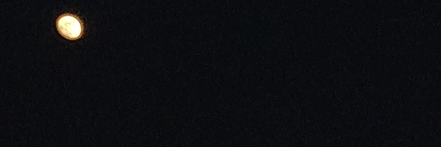 .𖥔 ݁ ˖‎❆ pls check dm banner