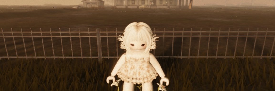 lemonnrobux's profile banner image