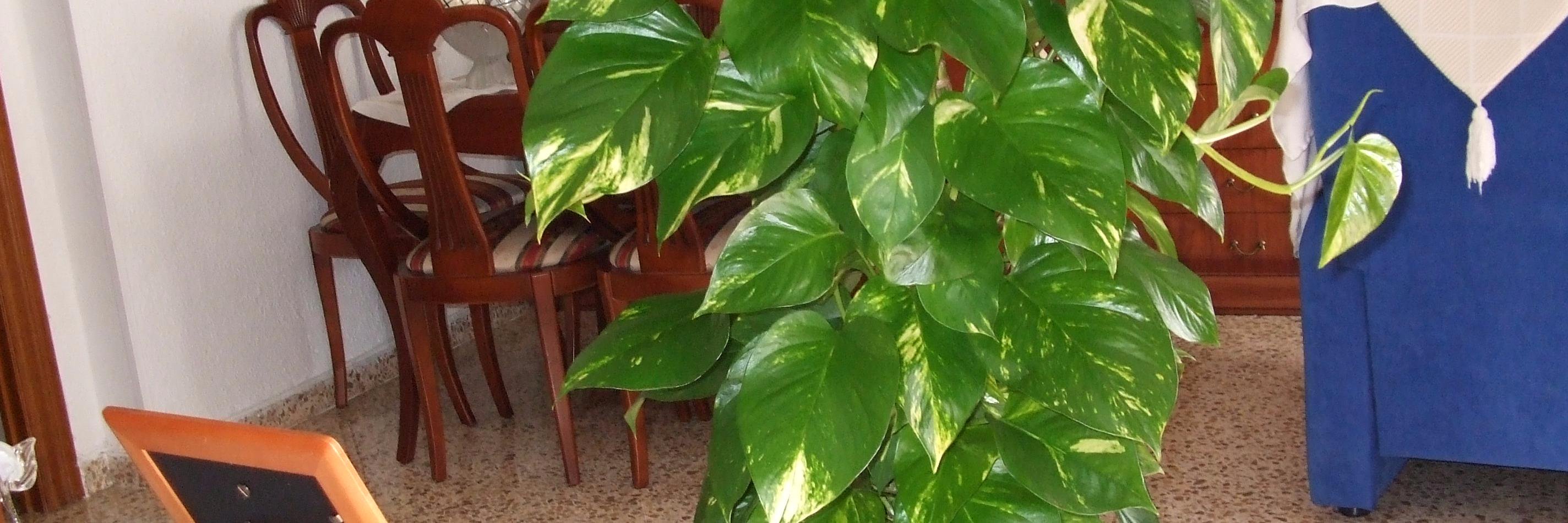 JaMaGaLa's profile banner image