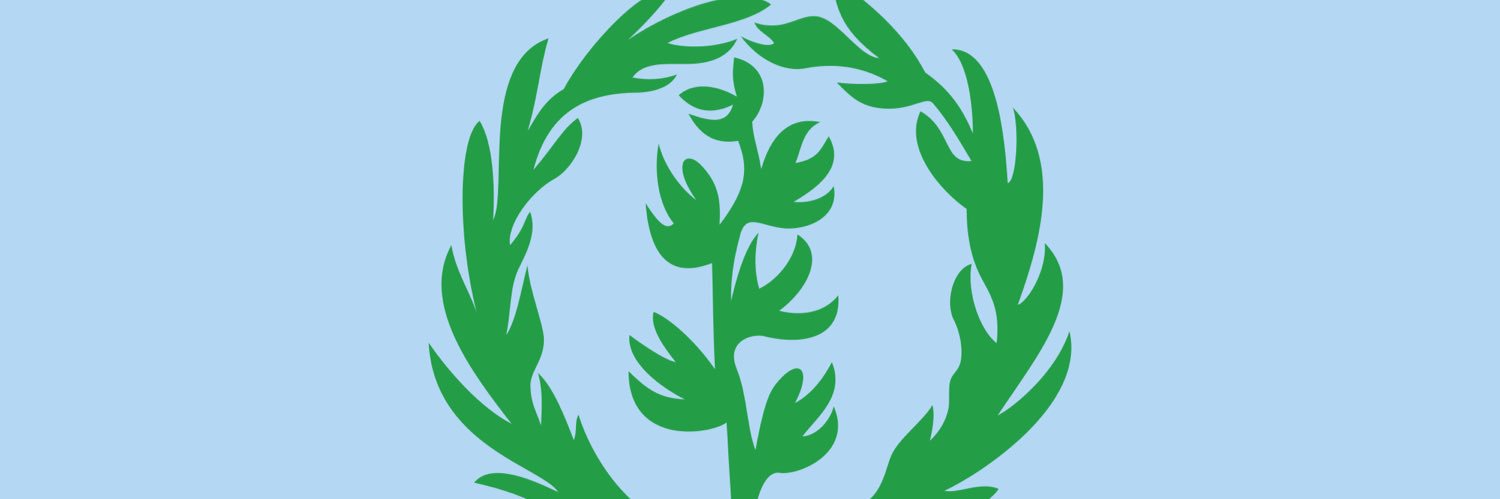 Afewerki banner
