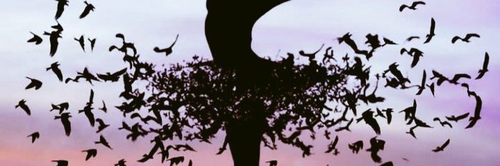 SAZAQATA's profile banner image