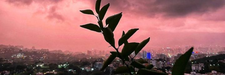 age_lina's profile banner image