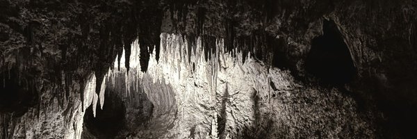 CAVERNOUS_CLAW Profile Banner