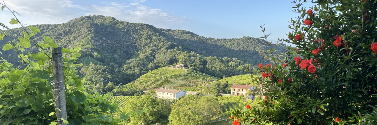 Dr. Maureen Cassidy banner