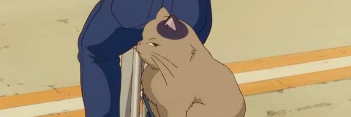 pattykrub's profile banner image