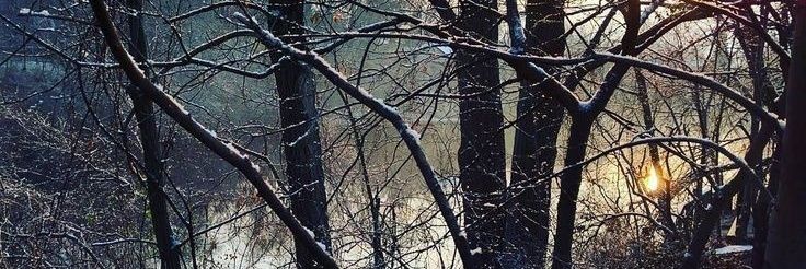 flowerwastee's profile banner image