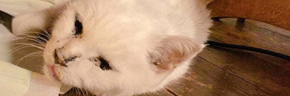 satton97's profile banner image