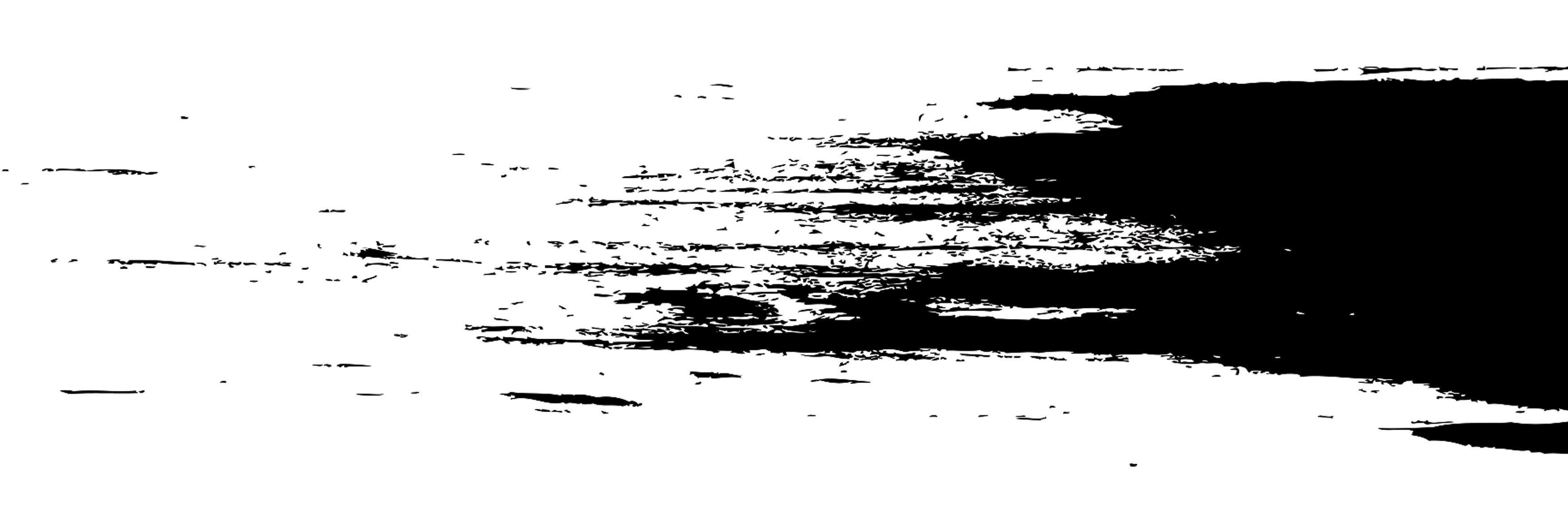 XonarLabel's profile banner image