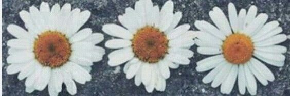 _tm1_'s profile banner image