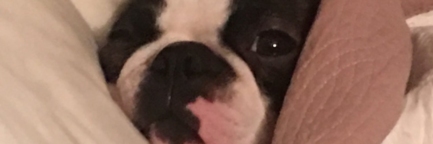 kbmsutton's profile banner image
