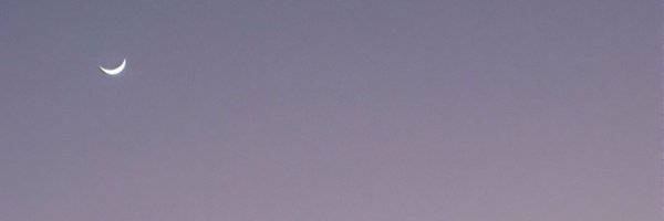 JZhen72937 Profile Banner