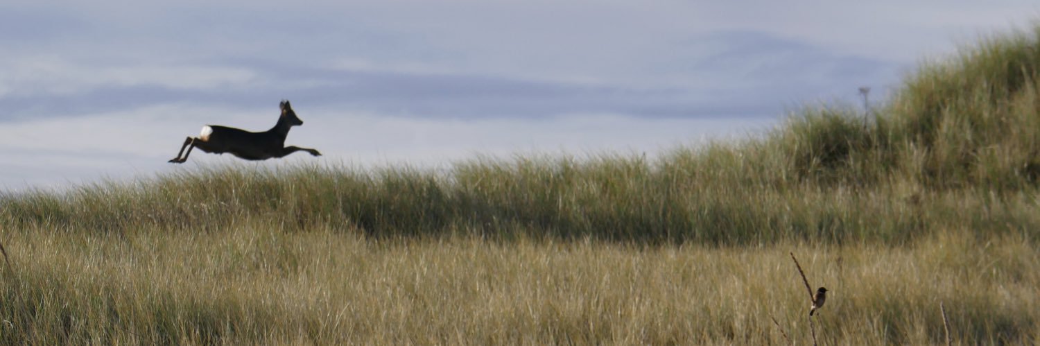 Andrew_Helyer's profile banner image