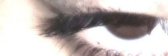 ريم محمد🦋 banner