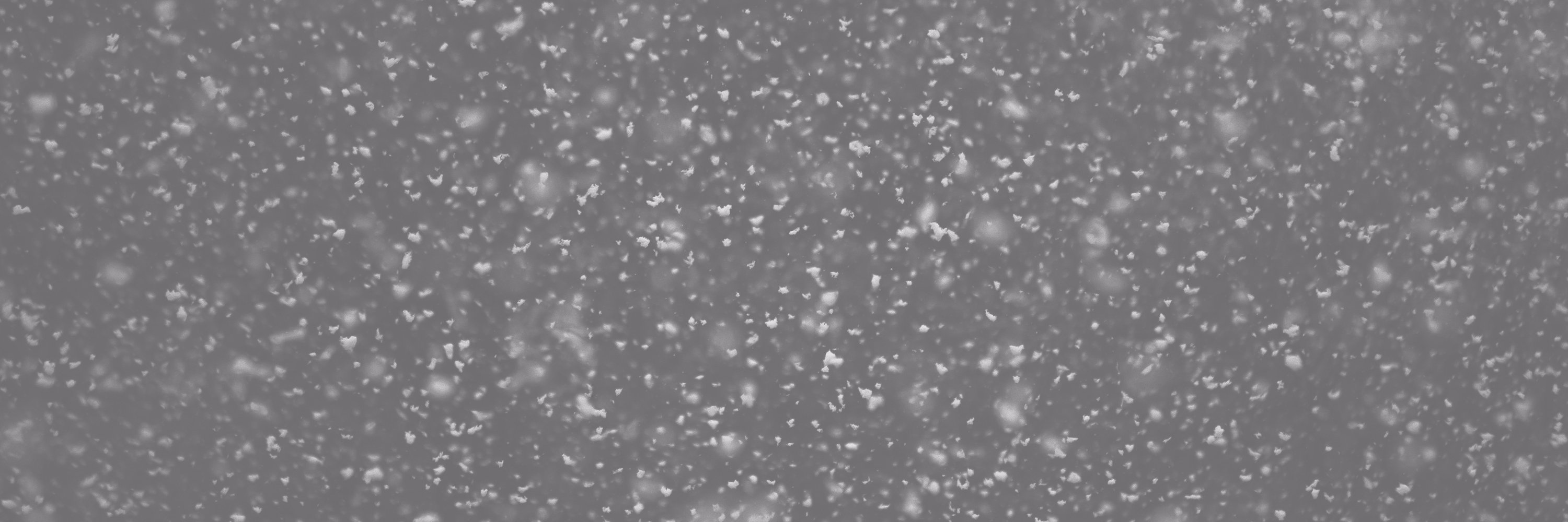 amandathomas's profile banner image