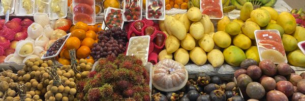 UKSAsianLSA Profile Banner