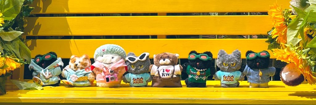 kinoko,👀BND🎬 banner