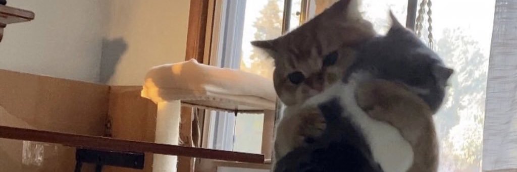 ReviDale_'s profile banner image