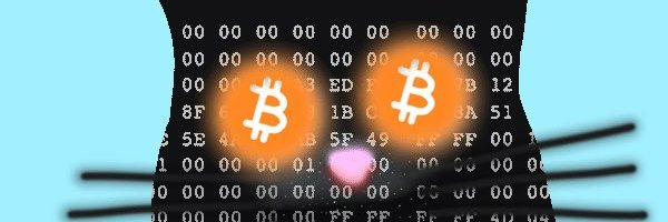 freecat_00 Profile Banner