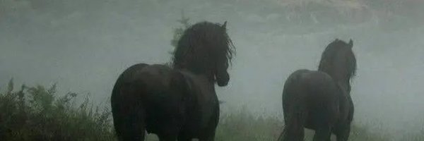 GrimeStatistic Profile Banner