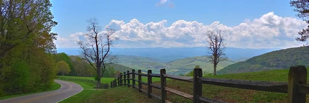 Terry Dunlevy banner