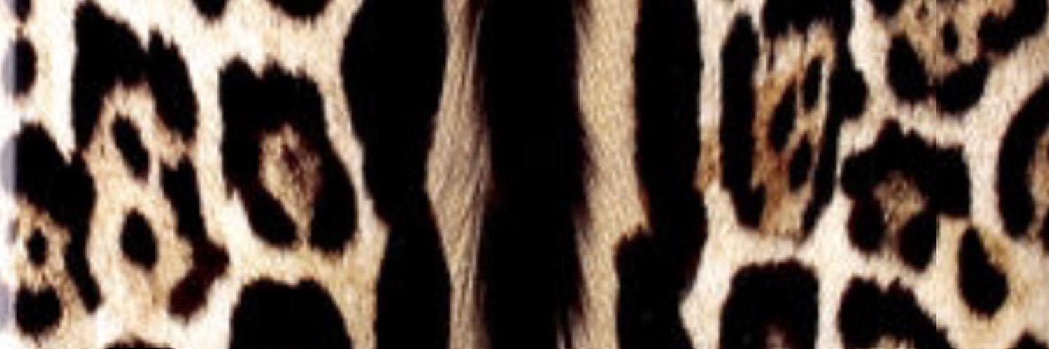 vanesabety's profile banner image