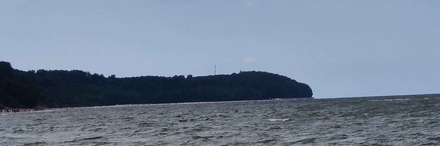 Wiedźmin pogromca trolli banner