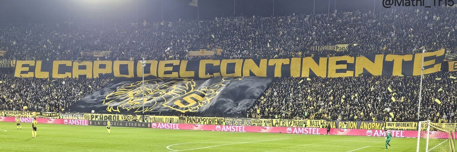 Nicoramonero's profile banner image