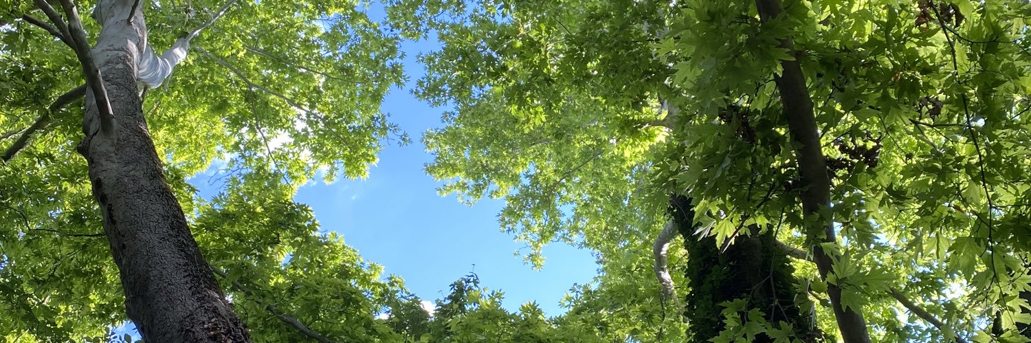 ezgi75's profile banner image