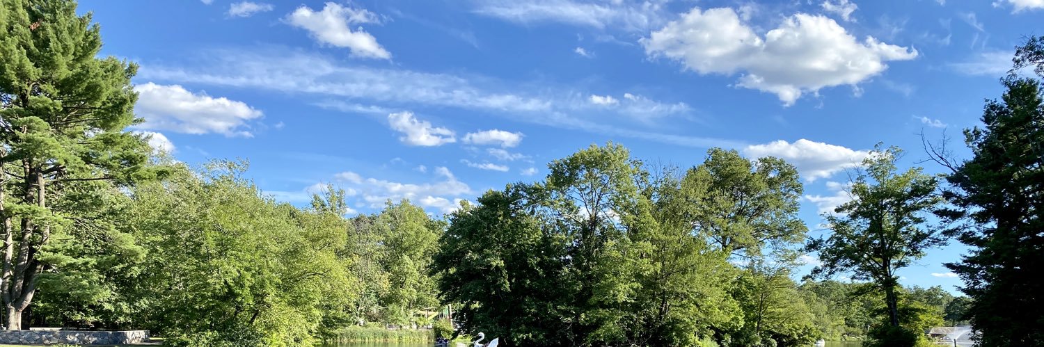 Angie Voyles Askham banner