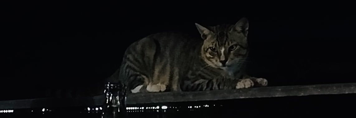 krnaume's profile banner image