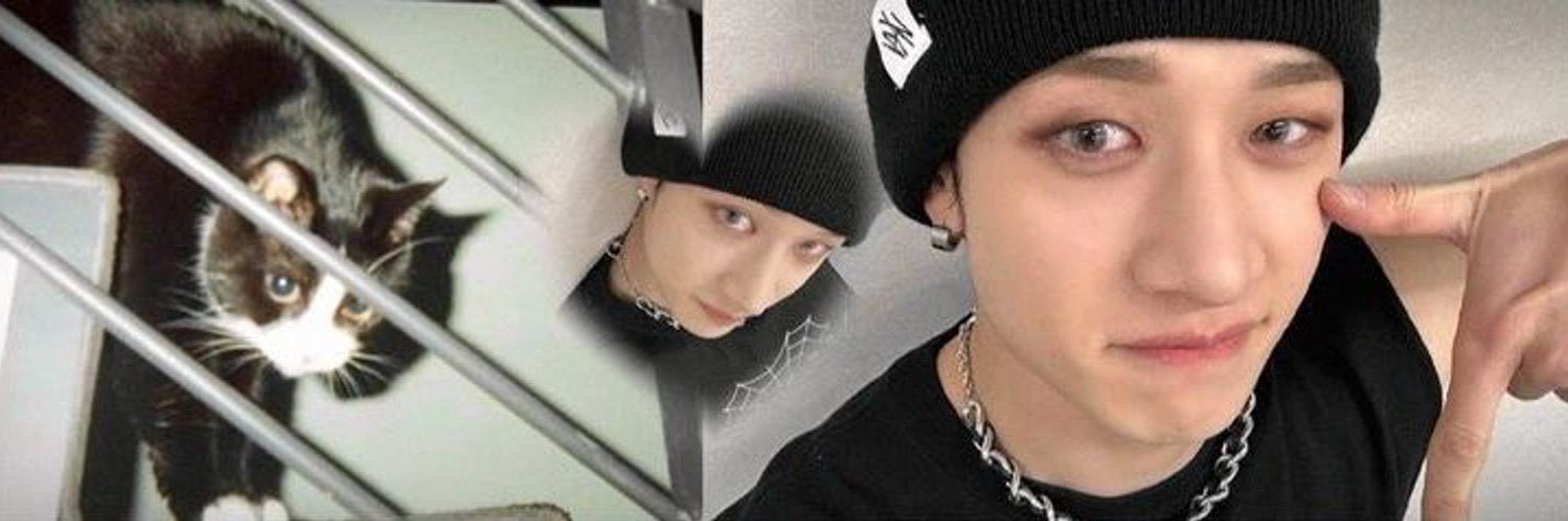 adri.🐈‍⬛ estrela do hyunjin's banner