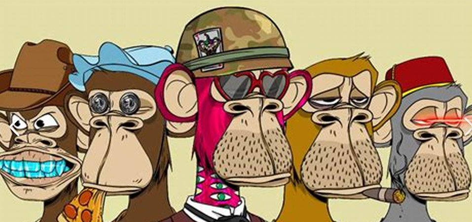 NicoleHerr10485's profile banner image