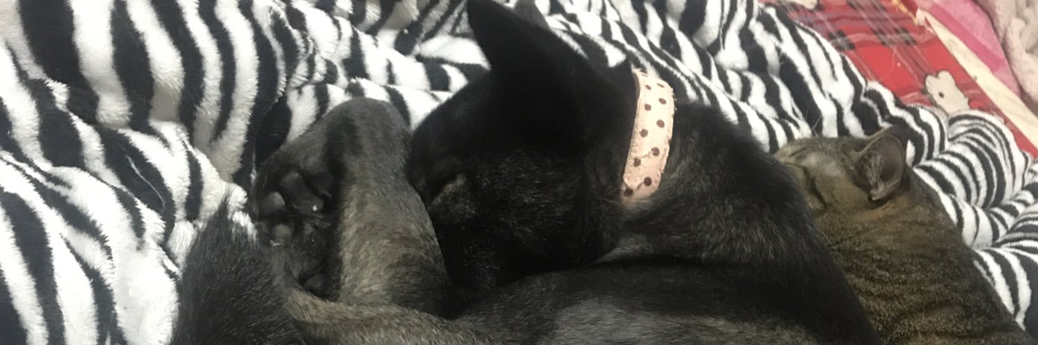 ばっかす_ banner