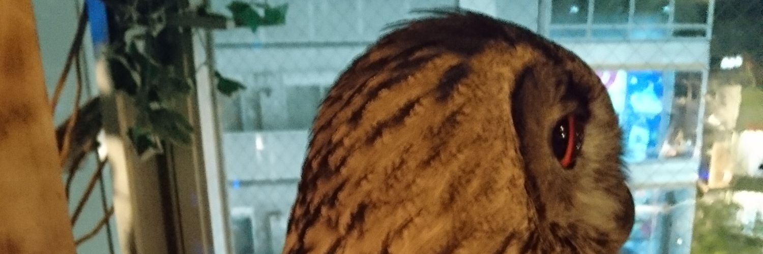 MECH6277's profile banner image
