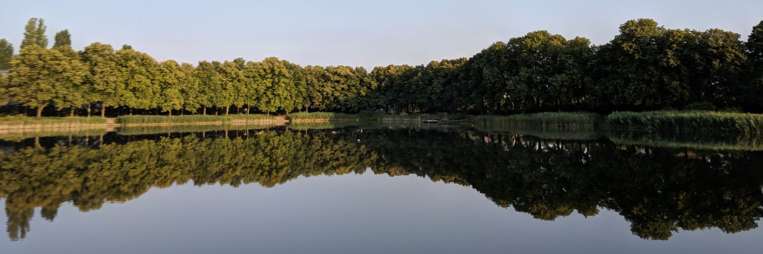 Luis Cipriani banner