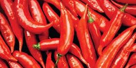 monkey-island banner