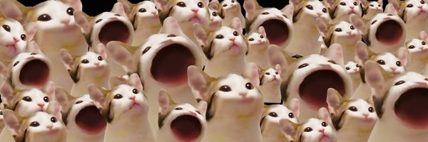 POPCATSOLANA Profile Banner