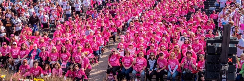 Komen Minnesota banner