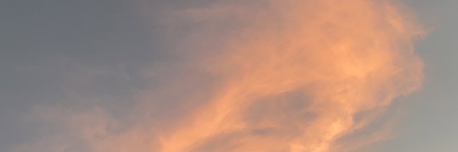 danielaxrj's profile banner image