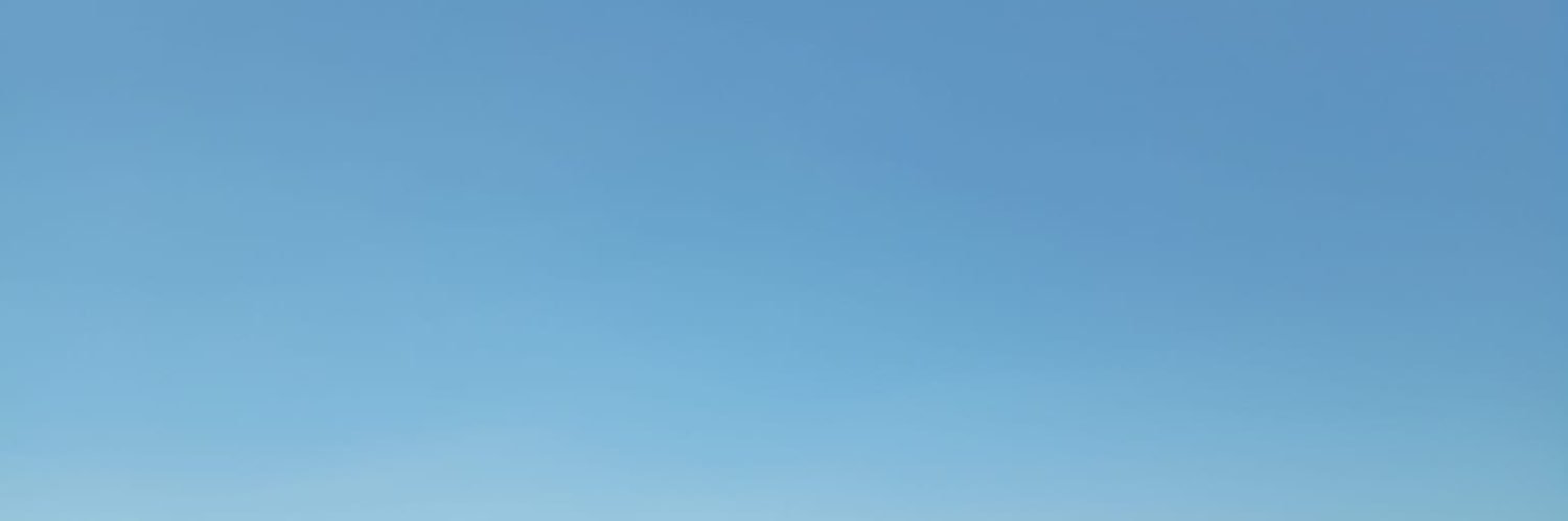 seda_ny's profile banner image